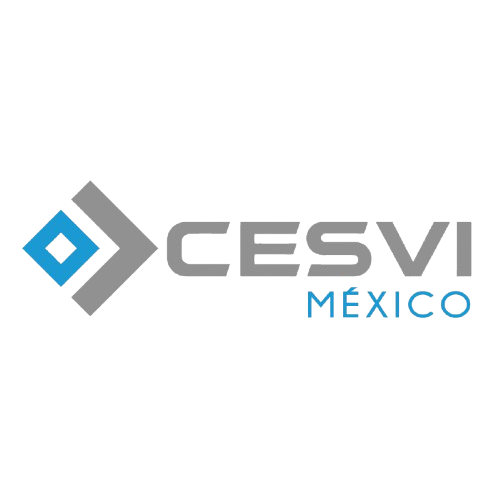 CESVI-removebg-preview (1)
